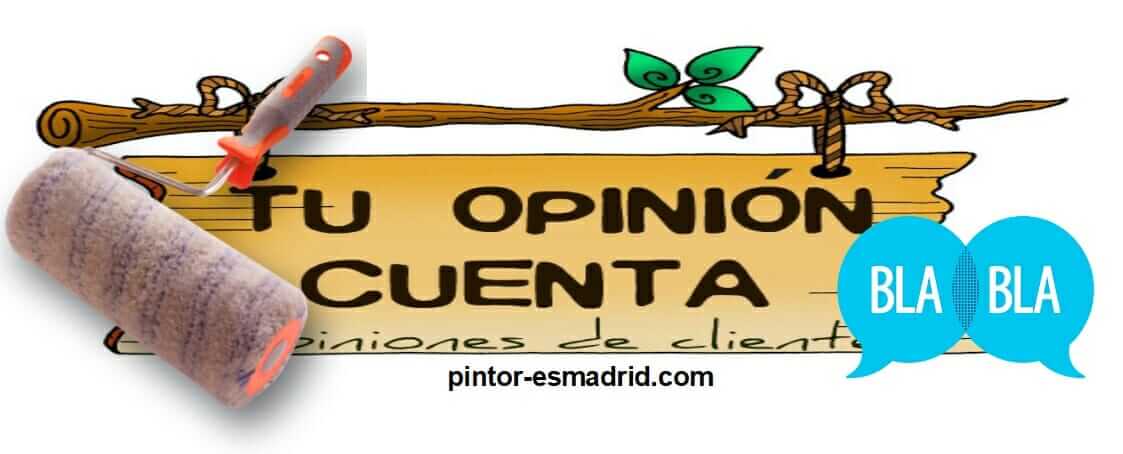 Opiniones y Comentarios sobre Pintores en Madrid